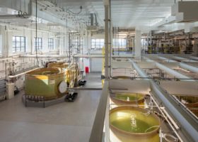 Egg Hatching
Once the oysters spawn, they are placed into one of two 5,000 gallon egg hatchings tanks (on left). The fertilized eggs will hatch over the next several days.